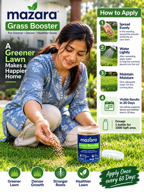 MAZARA GRASS BOOSTER