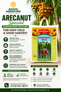 ARECANUT SPECIAL 5KG